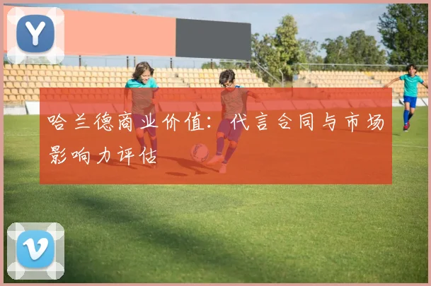 哈兰德商业价值：代言合同与市场影响力评估